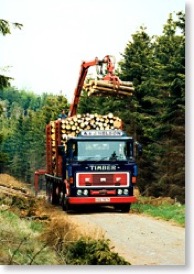ERF Nelson Logger