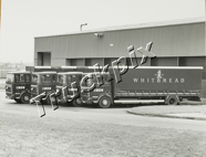B163.Photo