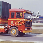 SP-005.jpg