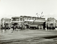D003.Photo